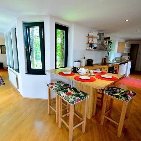 Green Haven Roofgarden Penthouse In Central Area Wien Eksteriør billede