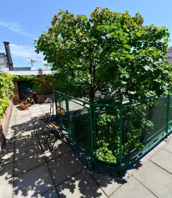 Green Haven Roofgarden Penthouse In Central Area Wien Eksteriør billede